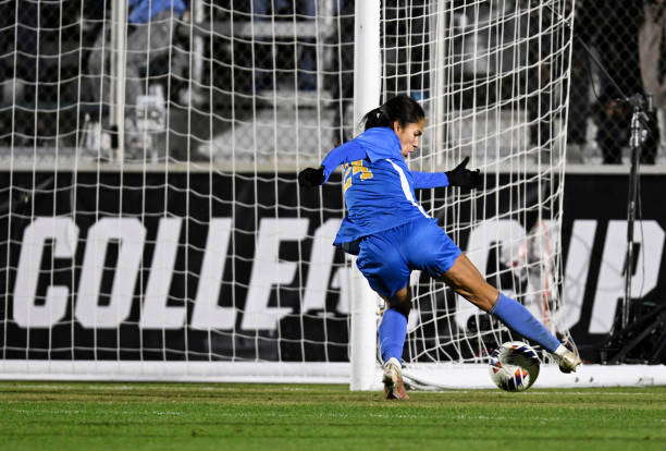 成功引入自 成功引入自