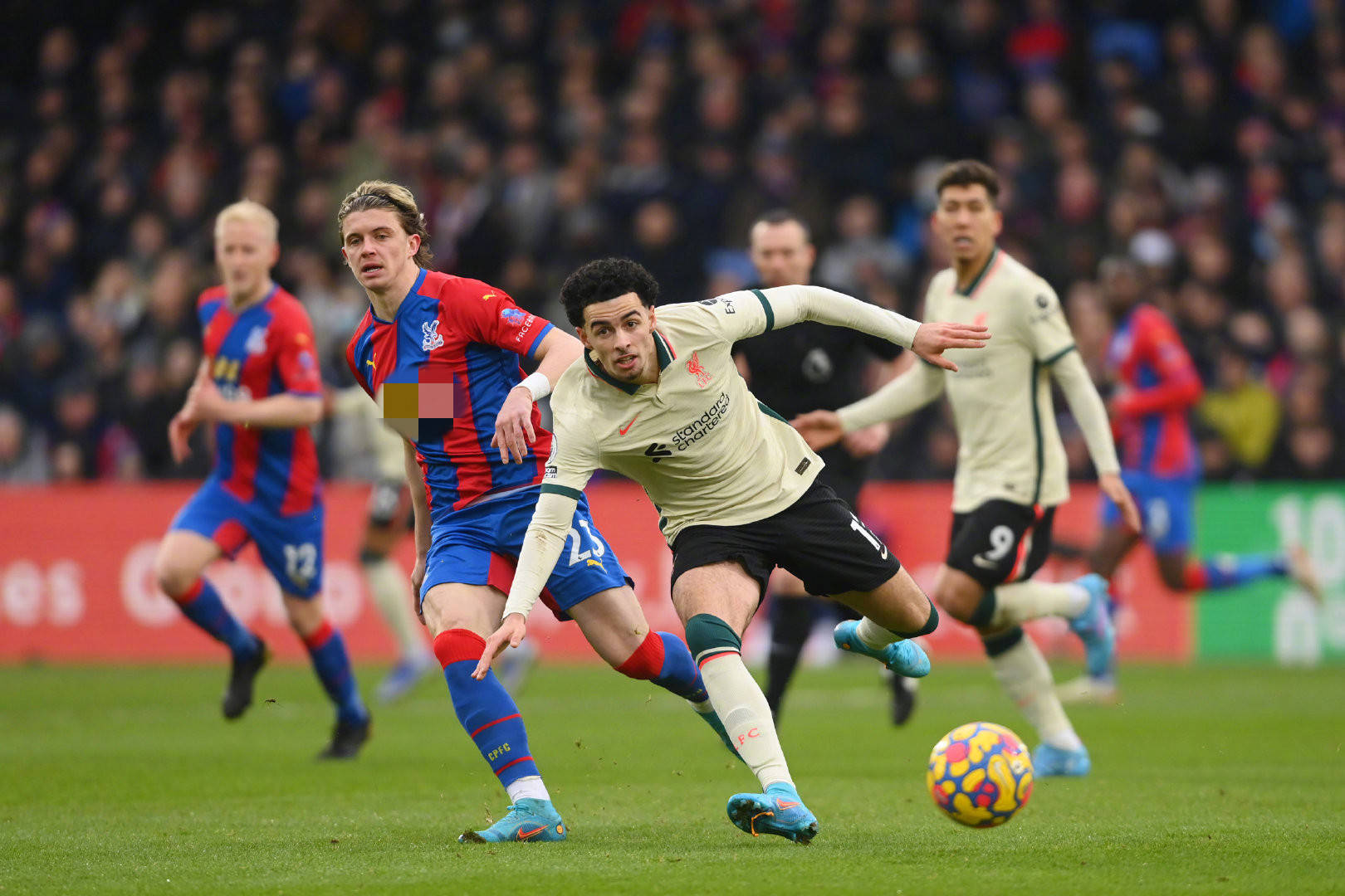 每当提到巴 每当提到巴