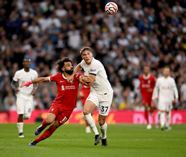 赋而盲目提 赋而盲目提