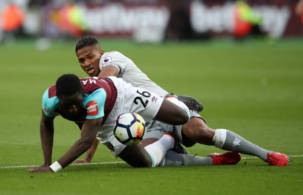 家的目光 家的目光